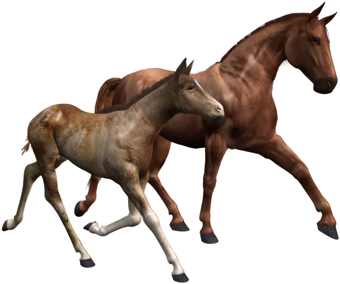 Share This Image - Heartbreaker Breyer (765x600), Png Download