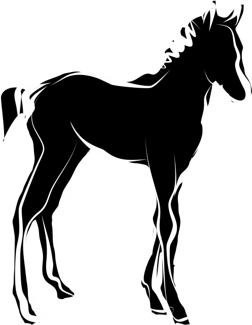 Foal Site Icon - Foal (706x706), Png Download