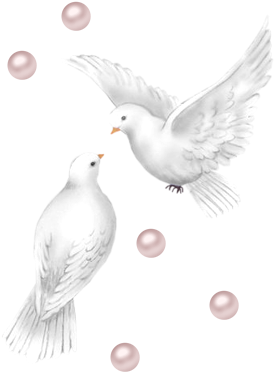 Colombes - Transparent Png Wedding Doves (302x400), Png Download