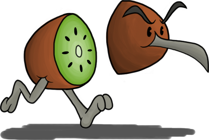 Kiwi Birds - Kiwi Bird Cartoon Png (721x484), Png Download
