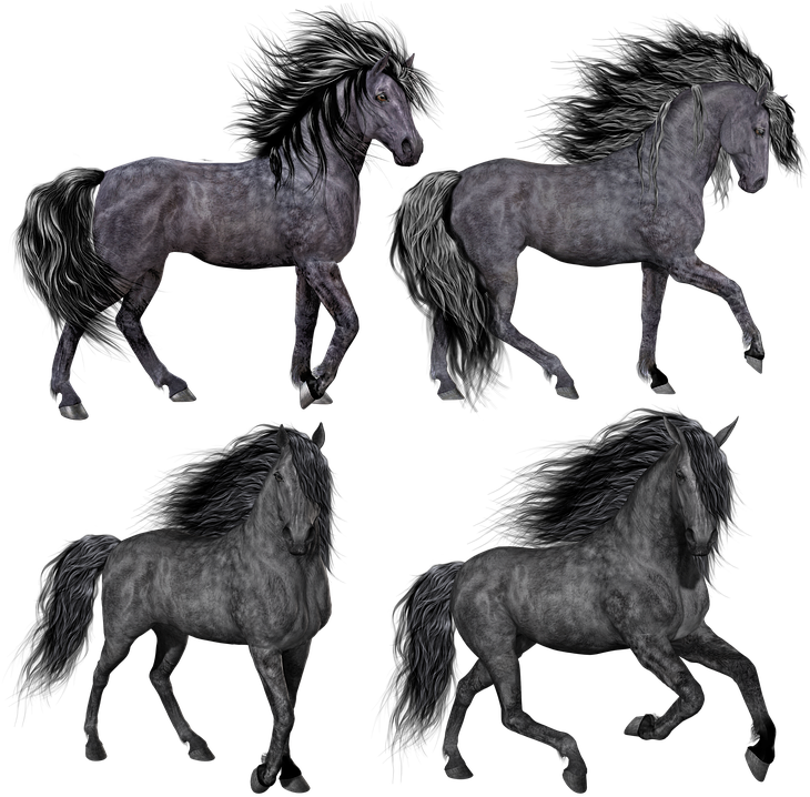 Horse, Pony, Mare, Stallion, Isolated, Black, Grey - Horses Png (761x720), Png Download