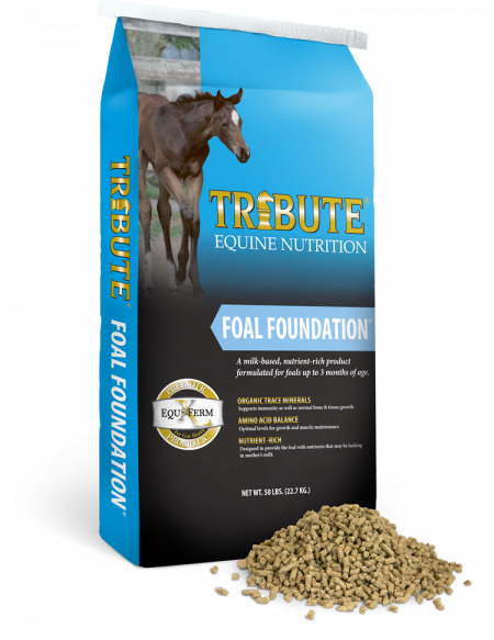 Kalmbach Feeds Tribute Kalm 'n Ez Textured (450x583), Png Download