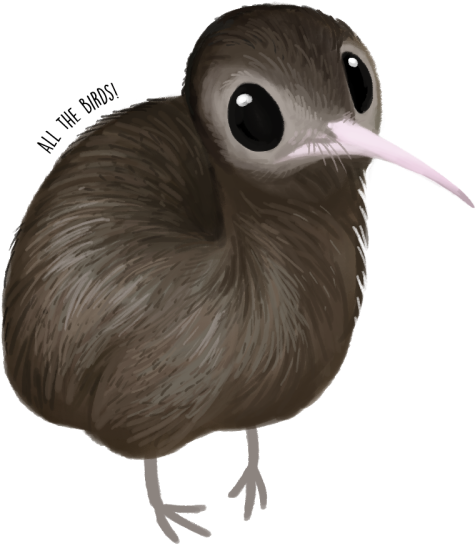 North Island Brown Kiwi (500x590), Png Download