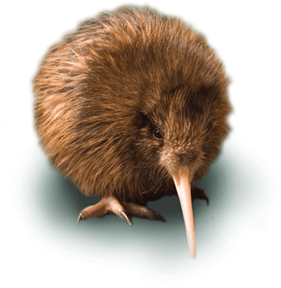 Cute Kiwi Chick - Moa Y Kiwi (411x444), Png Download