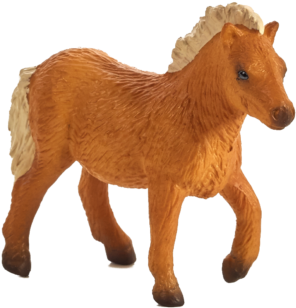 Shetland Foal - Shetland Pony (540x489), Png Download