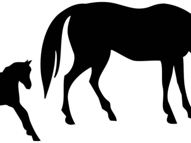 Horse Silhouette (640x480), Png Download