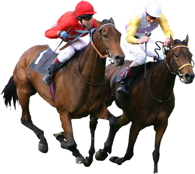 Com - Horse Racing Png (649x649), Png Download