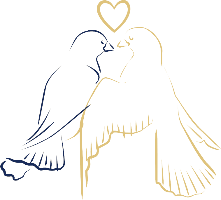 Love Birds Drawing Png (758x685), Png Download