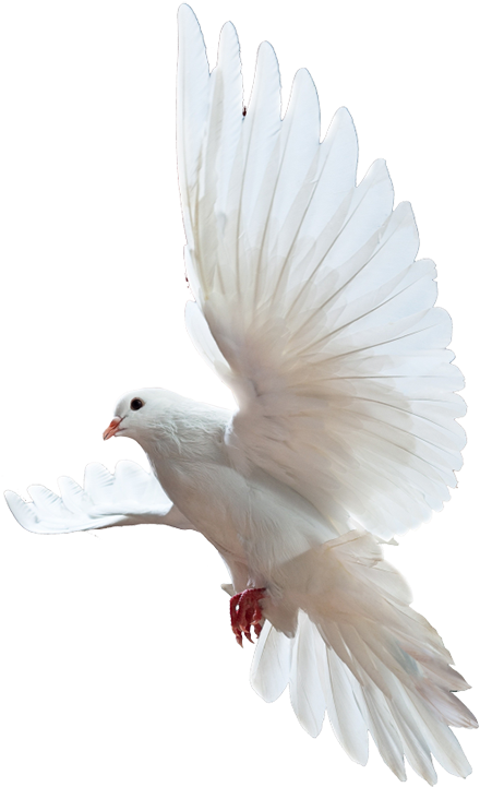 Image Layer - Blessing Of The Lord: Riches, Wealth (500x733), Png Download