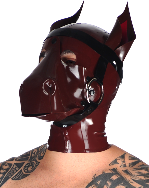 Horse (586x754), Png Download