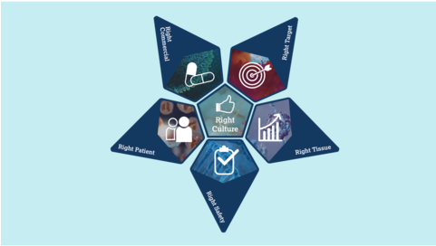 Transforming Astrazeneca's R&d Productivity - Astrazeneca Ag (480x285), Png Download