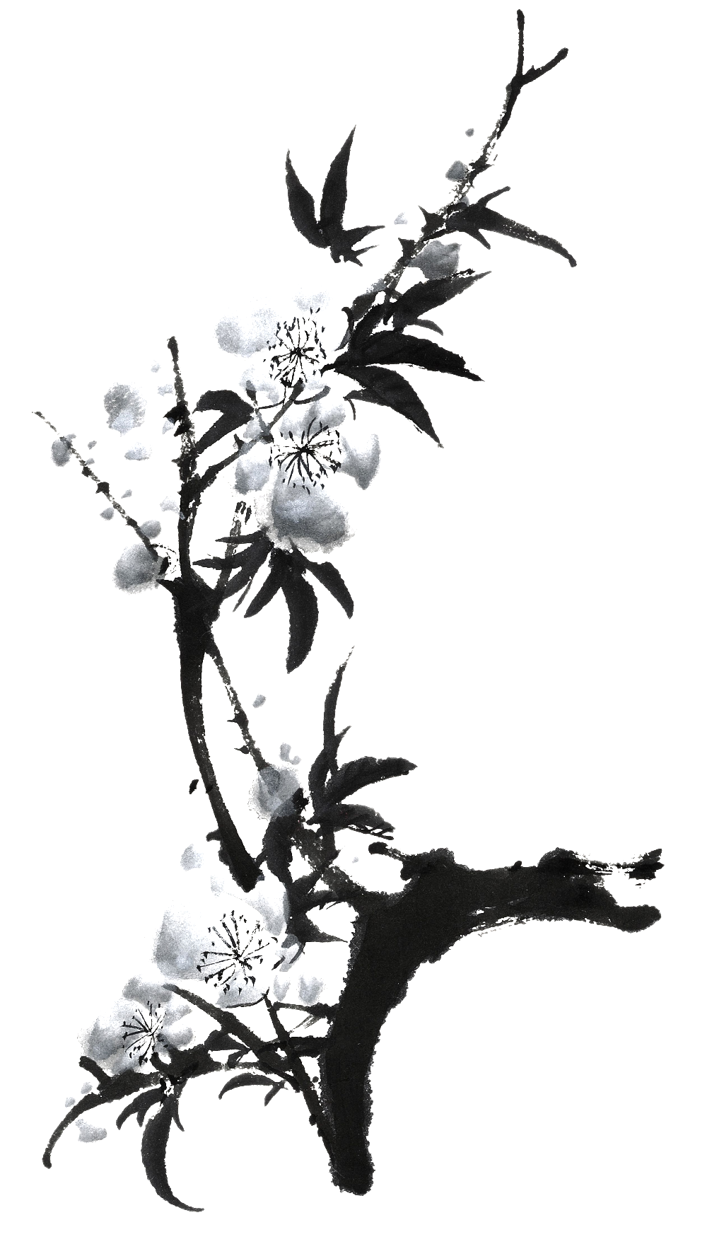 Ink Peach - 桃花 国画 (1024x1759), Png Download