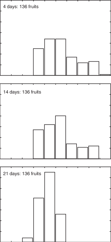 Simulated Fruit Size Distributions On A 3 Year Old - Diagram (383x836), Png Download