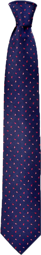 Printed Kane Tie In Blue - Polka Dot (801x1200), Png Download