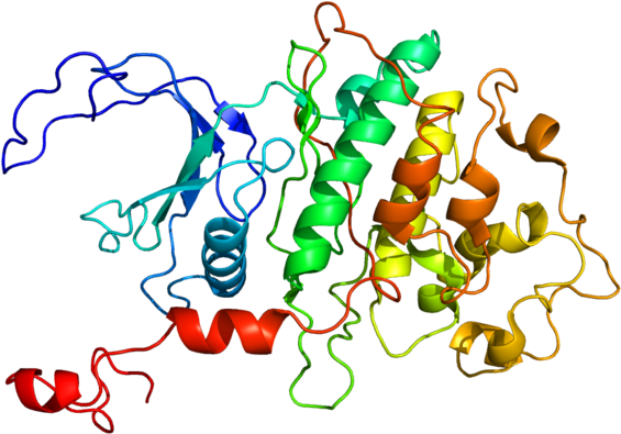 Astrazeneca Acquires Cdk9 Inhibitor Platform And Lead - Cyclin-dependent Kinase 9 (720x600), Png Download