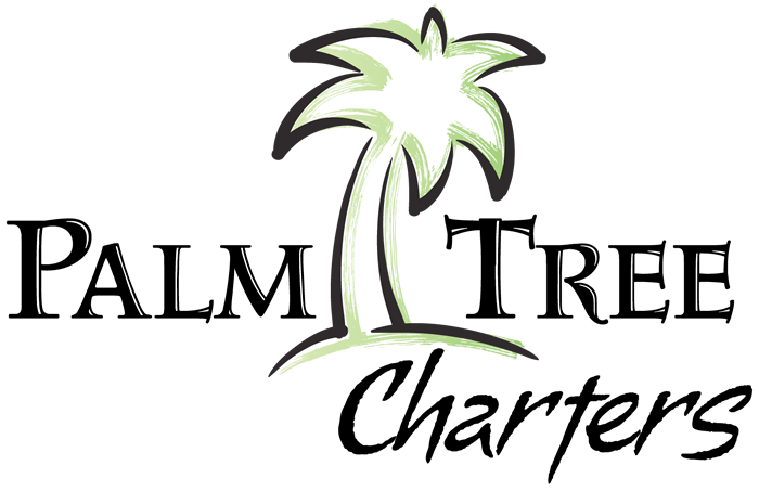 Logos With Palm Trees (700x453), Png Download