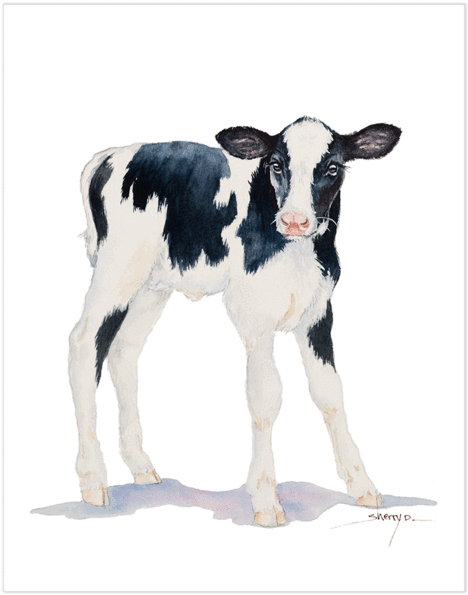 Baby Of Cow Png (600x600), Png Download