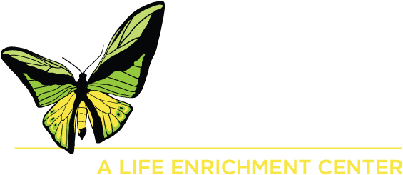 Peachtree Christian Health • Duluth, Ga - Peachtree Christian Health (612x299), Png Download