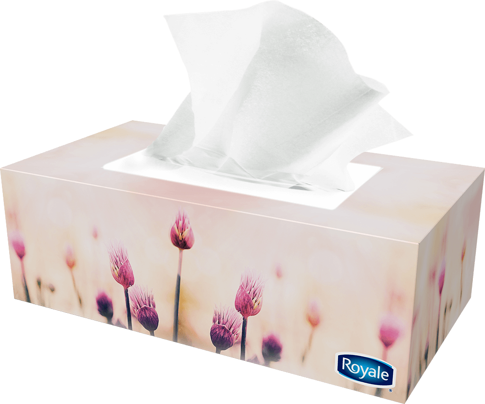 Previous - Next - Facial Tissues (1000x833), Png Download