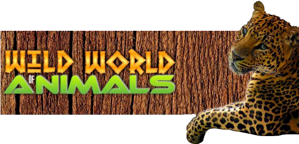 Wild World Of Animals Show - Wild World Of Animals (600x300), Png Download