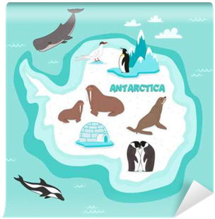 Antarctic Continent Map With Wildlife Animals Vector - Antarctica Animals Map (400x400), Png Download