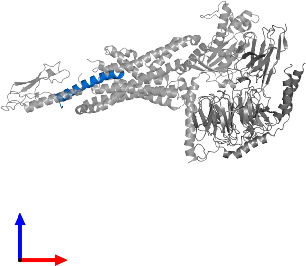 <div Class='caption-body'>pdb Entry 5vai Contains 1 - Illustration (800x800), Png Download