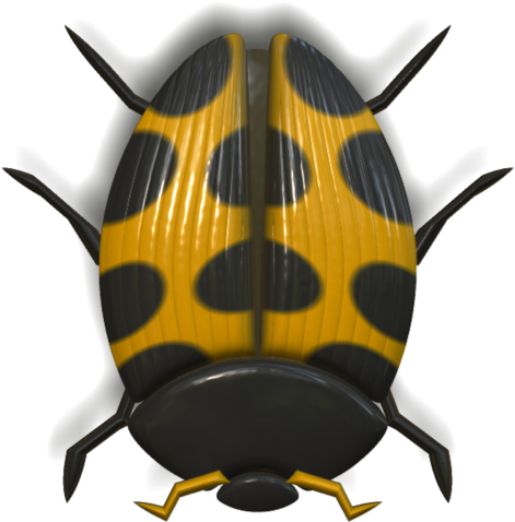 Ladybird Beetle (500x500), Png Download