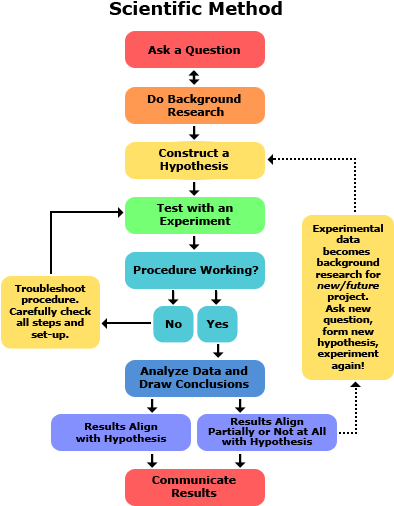 Give The Steps In Scientific Method (415x528), Png Download