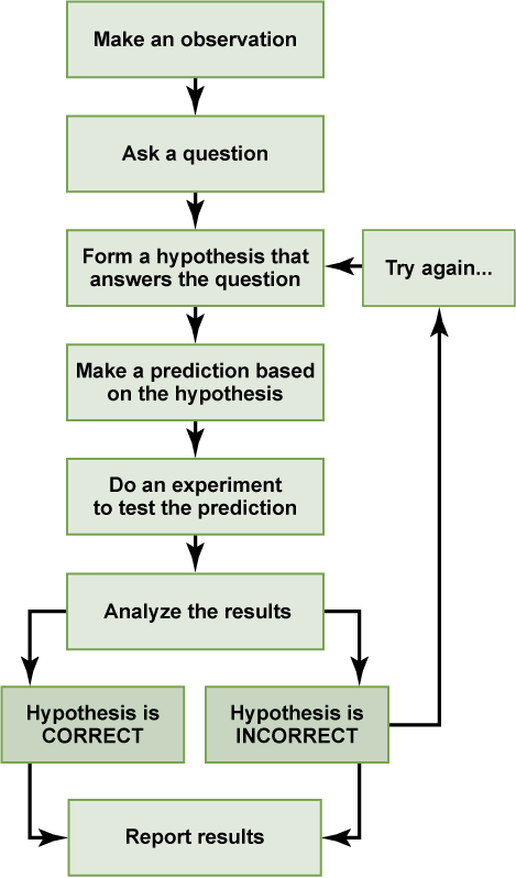 Ngss & The Scientific Method - Scientific Method 7 Steps Mcgrawhill (469x798), Png Download
