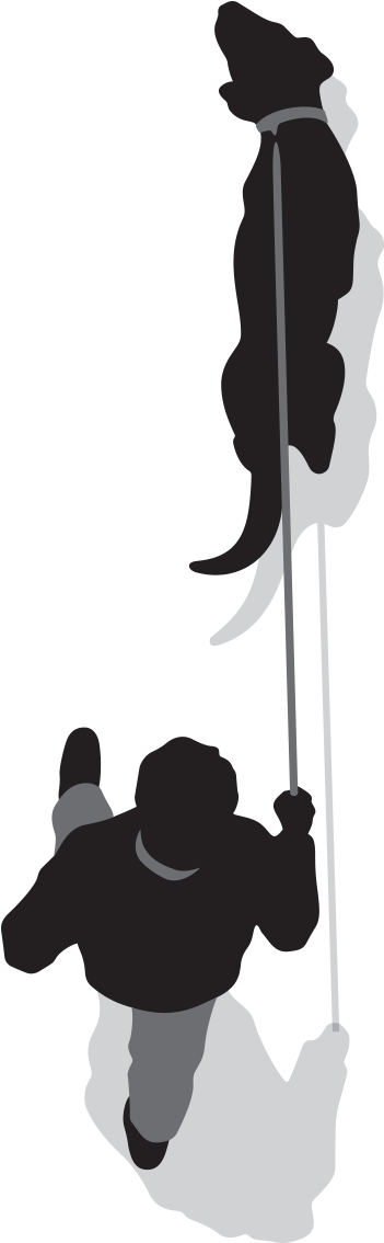 Man Walking A Dog - Dog (1200x1200), Png Download