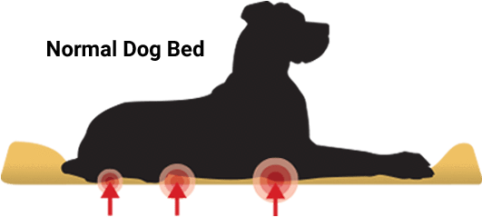 Normal Beds Made From Polyfill Or Cheap Memory Foam - Sleeping Dog With Hip Dysplasia In A Pet Bed (530x259), Png Download