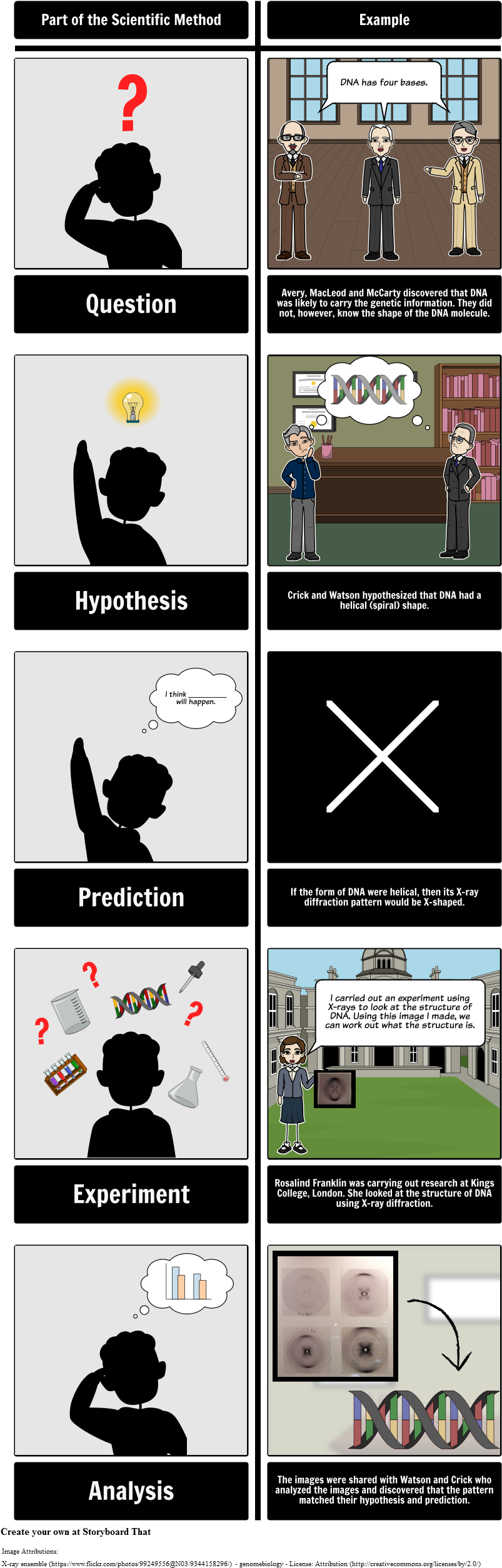 Scientific Method With Dna - Scientific Method (843x2536), Png Download