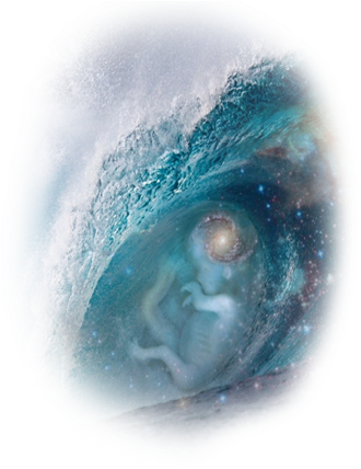 Out Of The Mysterious And Intelligent Fabric Of Existence, - Nebula (337x427), Png Download