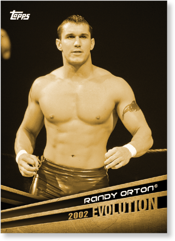 Close Zoom - Randy Orton 2002 (1440x975), Png Download