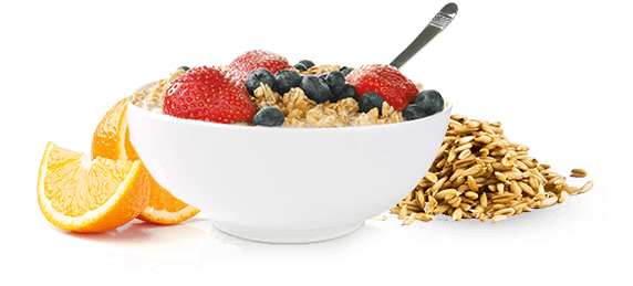 Fiber Meal - White Bistro Breakfast Bowl 11.5x3.5cm (591x258), Png Download
