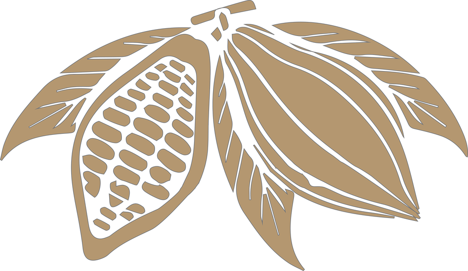Cocoa Beans Png Transparent Image Dibujo Cacao Chocolate Full Size Png Download Seekpng