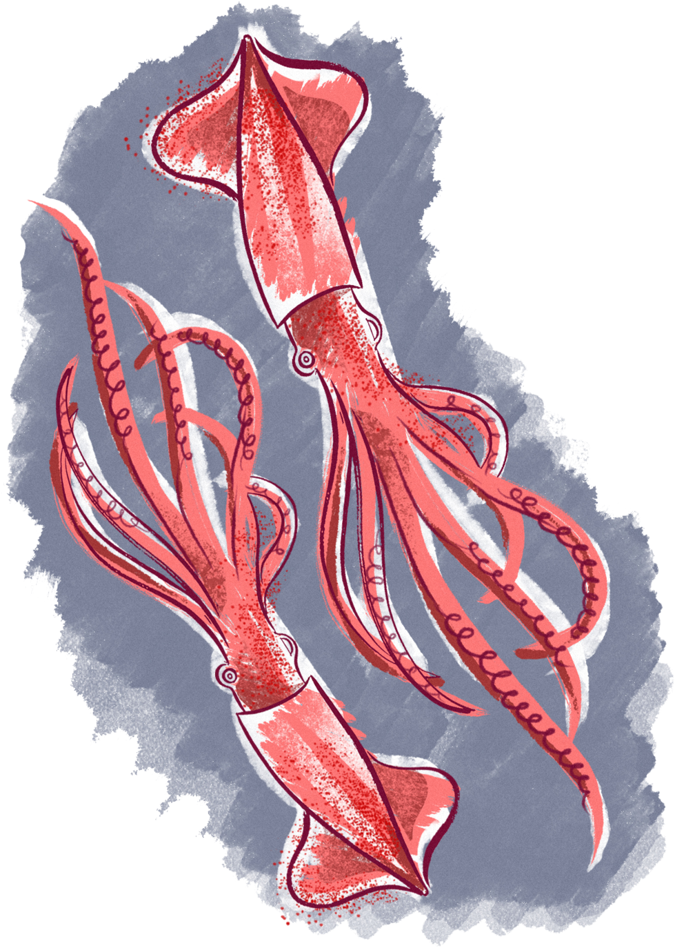 What I Ate Squ - Illustration (1000x1376), Png Download