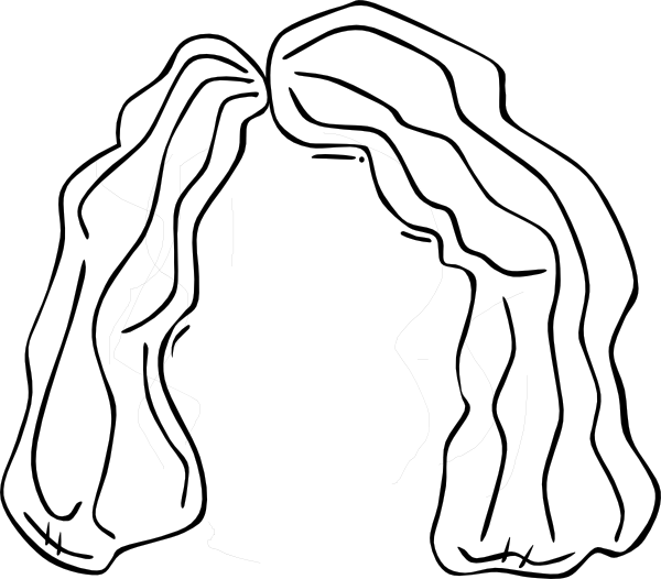 Download Wig Outline Clipart Clip Art Transparent PNG Download SeekPNG