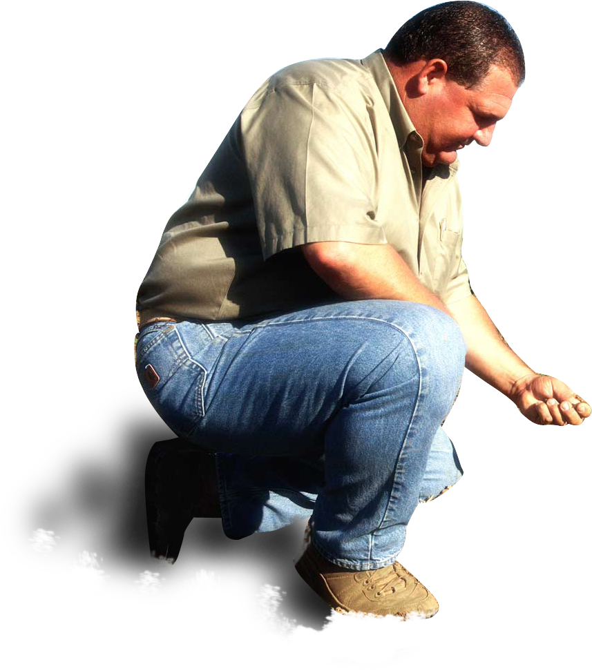 Learn More About Our Tomatoes - Sitting (857x972), Png Download