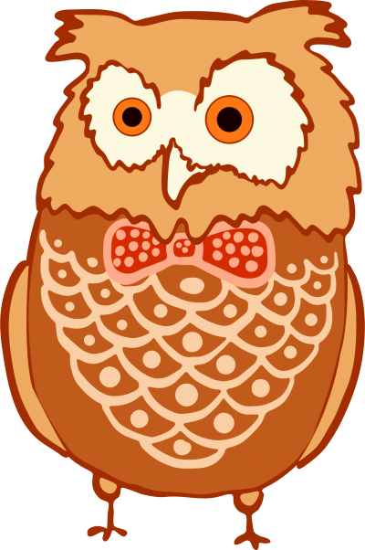 Owl Bird Cartoon Clipart Burung Hantu Kartun 3d Full Size Png