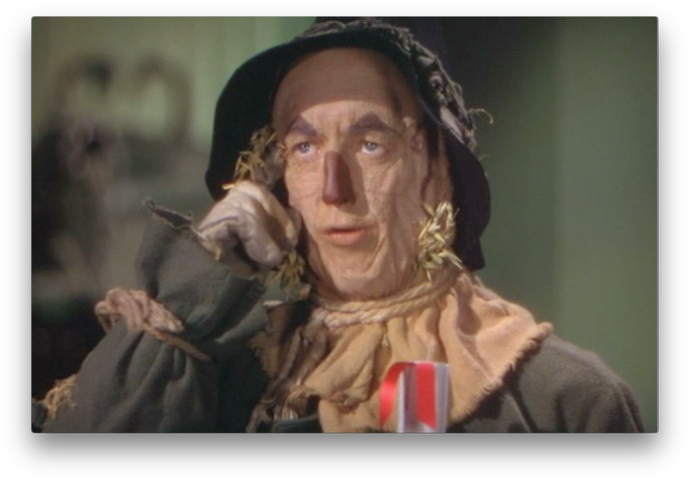 Screen Shot 2016 08 22 At - Wizard Of Oz - Scarecrow 11" X 14" Unframed Matted (1000x699), Png Download