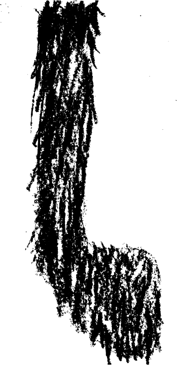 Fumanchu 10 Feb 2011 - Illustration (349x720), Png Download