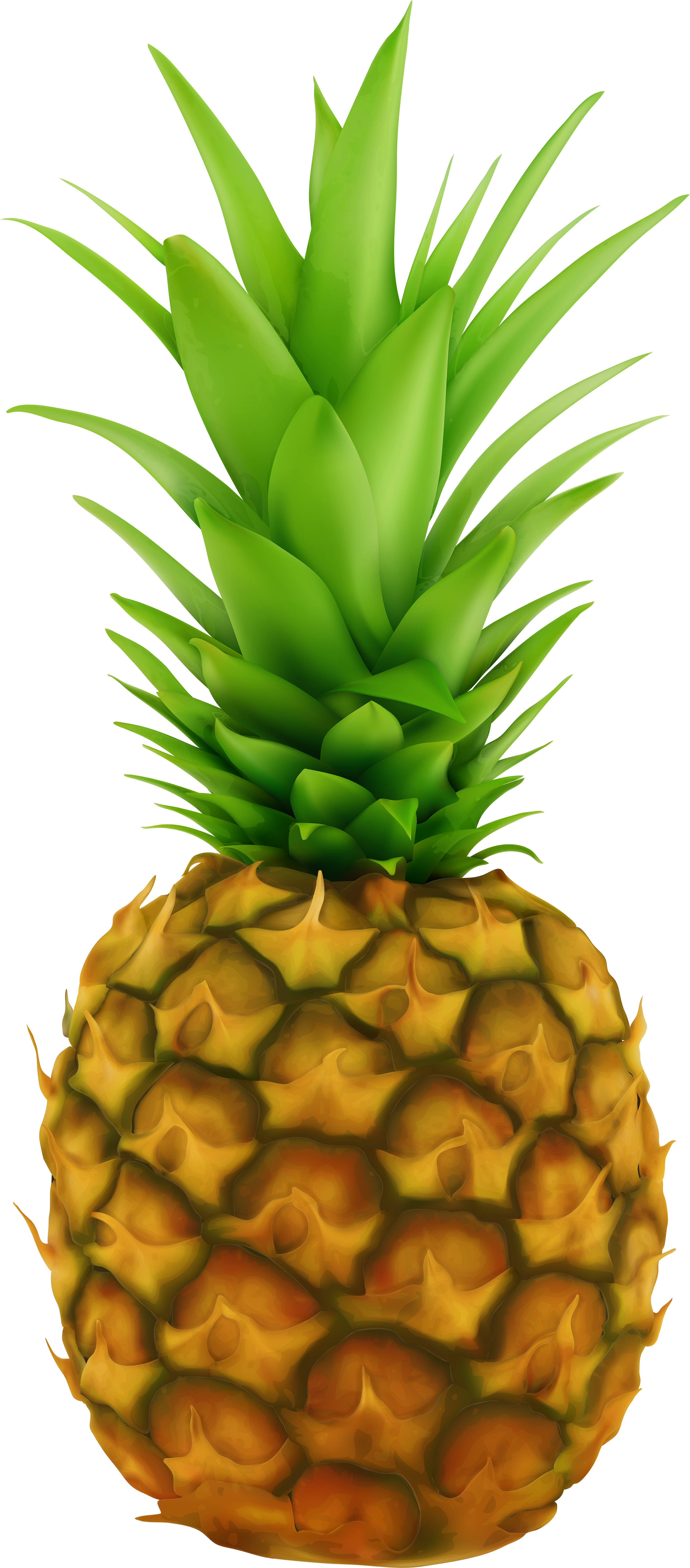 Pineapple Clipart Transparent Background (2666x6000), Png Download