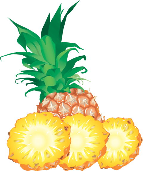 Free Png Pineapple Png Images Transparent - Pineapple Png Clip Art (480x572), Png Download