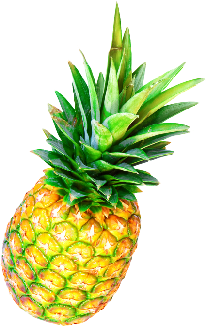 Download Pineapple Png Image - Pineapple Png (500x725), Png Download