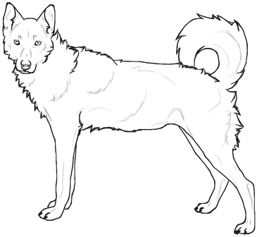 Drawn Husky Transparent - Siberian Husky (438x350), Png Download