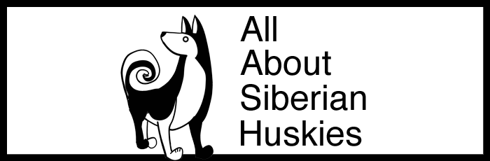 Siberian Husky (700x230), Png Download