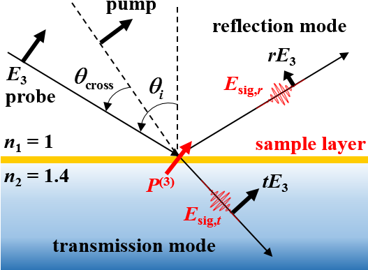 Near Brewster's Angle Reflection Pump Probe Geometry - Liquid (554x411), Png Download