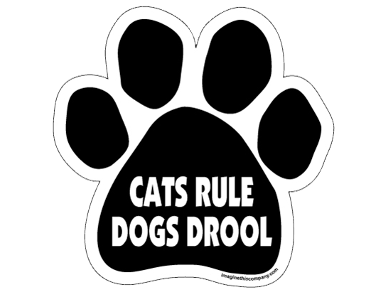 Cats Rule Dogs Drool - My Kid Barks (522x411), Png Download