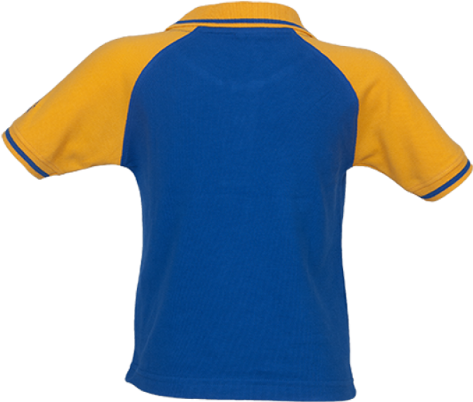 Polo Shirt (790x1000), Png Download